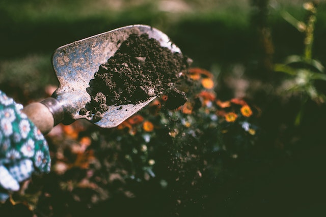 small%20hand%20shovel%20with%20dirt%20on%20it%20and%20orange%20flowers%20in%20the%20background small%20hand%20shovel%20with%20dirt%20on%20it%20and%20orange%20flowers%20in%20the%20background